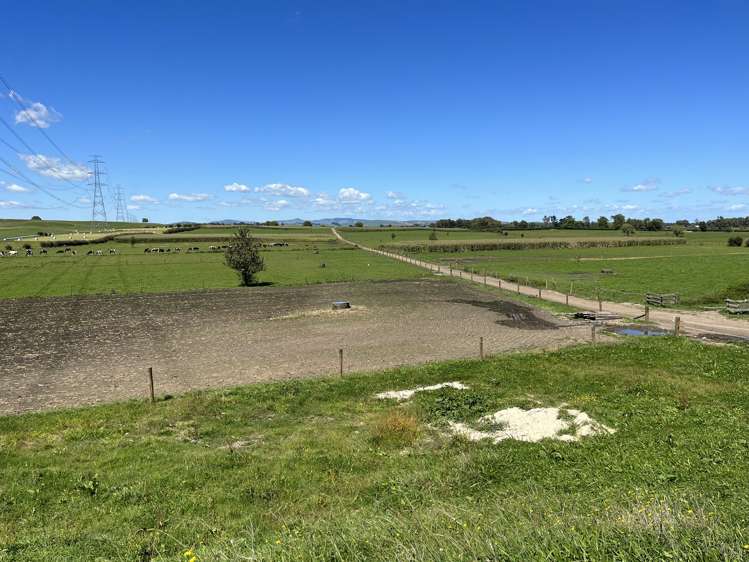 625 Tauhei Road Morrinsville_11