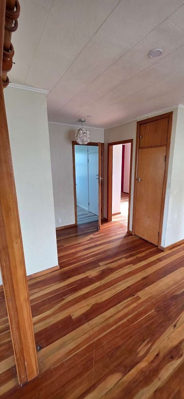 28 Elizabeth Street Levin_3