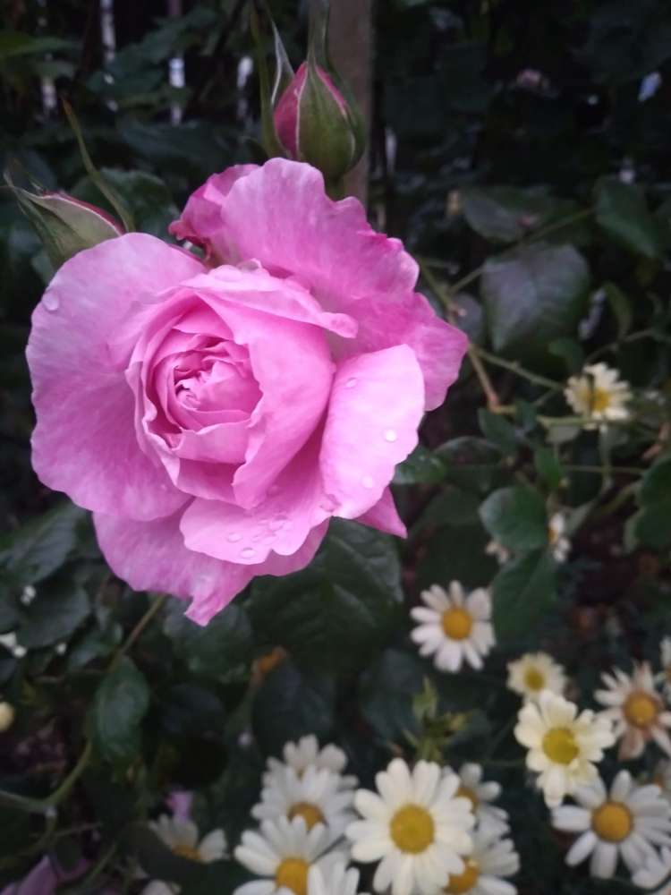 121 Wainuiomata Road Wainuiomata_18