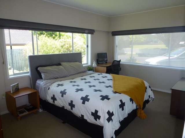 10 Tui Crescent Morrinsville_2