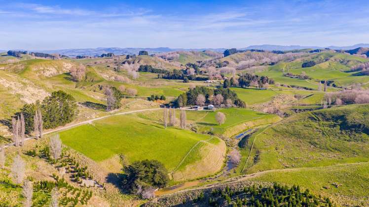 896 Te Awa Road Waipukurau_22