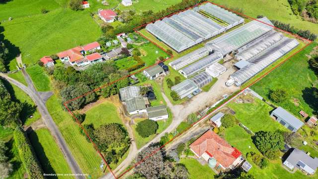 Hydroponic business, home and lifestyle