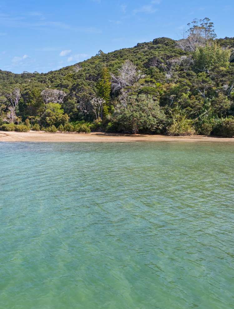 Te Wahapu Road Russell_4