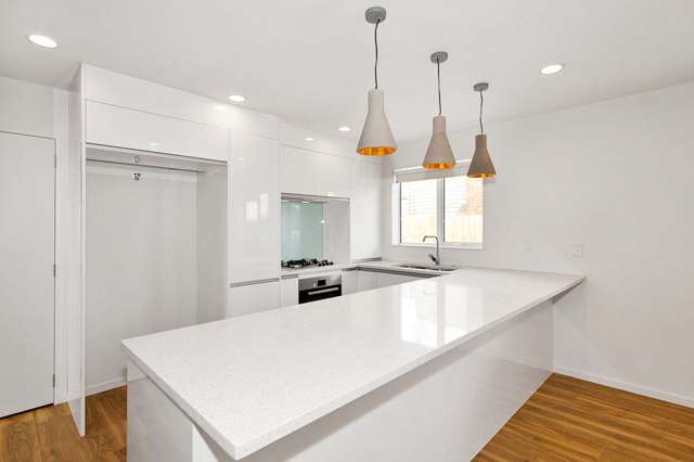 111A Gardner Avenue New Lynn_4