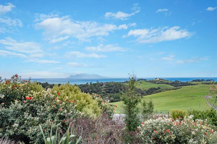 28 Matheson Bush Road Leigh_34