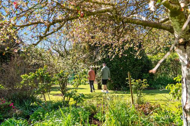 34 Poike Road Hairini_2