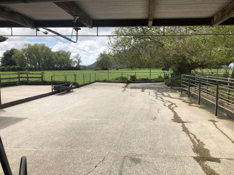 49 Mckinley Road Hauraki Surrounds_8