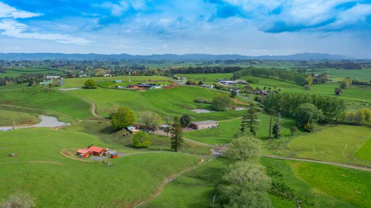 44 Wallace Road Temple View_2