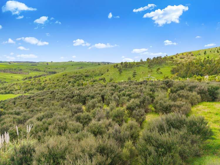 Te Kowhai Road Matakohe_25