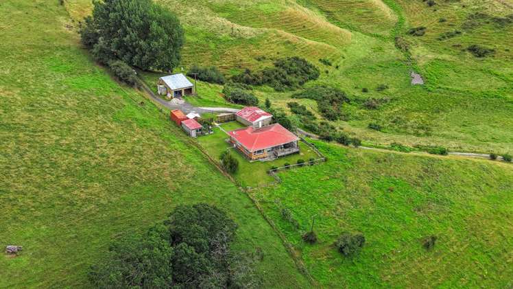 54 O'Brien Road Rotokauri_28