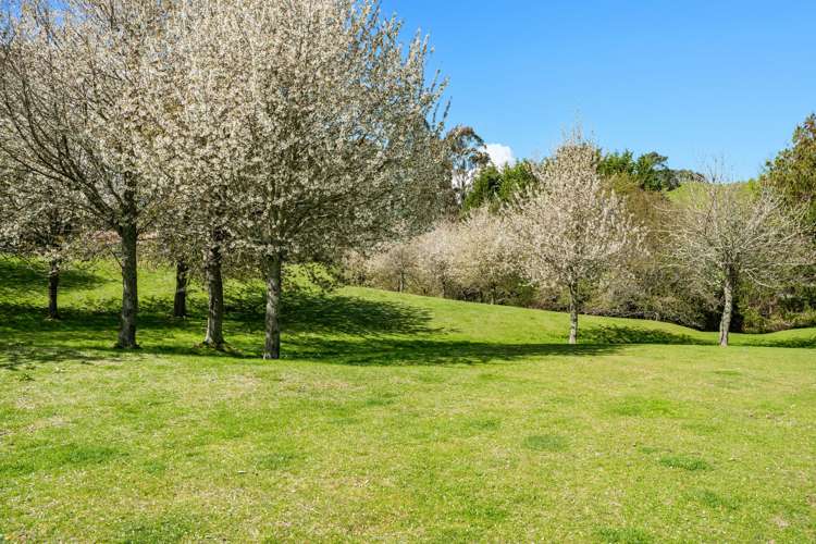 396 Tukairangi Road Nukuhau_16