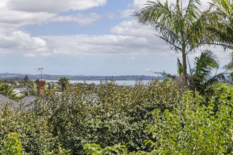 3 Chamberlain Street Grey Lynn_12