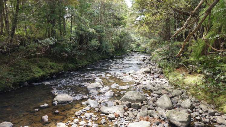 Lot 3/286 Mangakaretu Road Waipapa_9