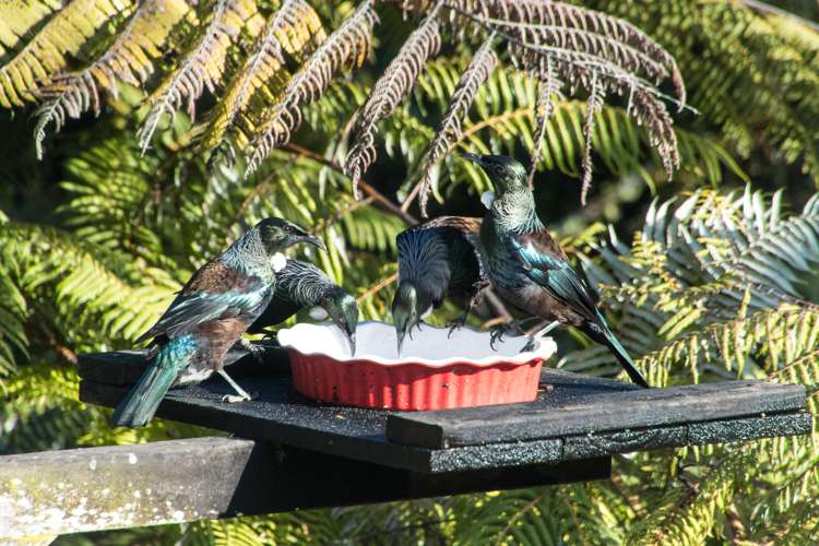 2/12 Herons Way Northcote_4