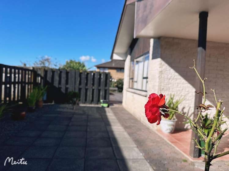 32 Borrowdace Avenue Botany Downs_17