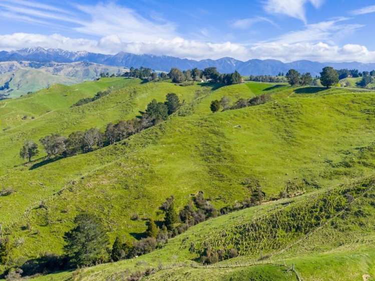 1139 Blackburn Road Central Hawkes Bay_7