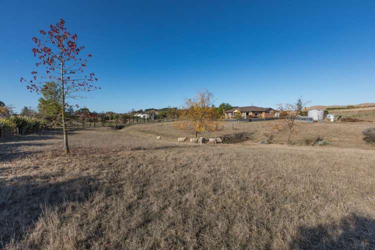 215 Racecourse Road Waipawa_17