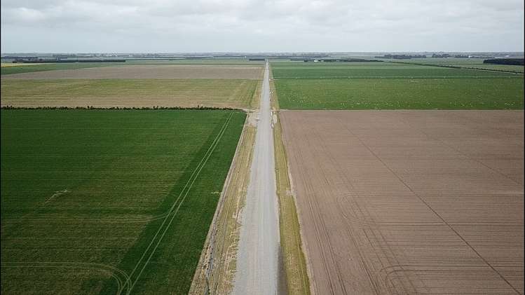 362 Fairfield Road Newland_18