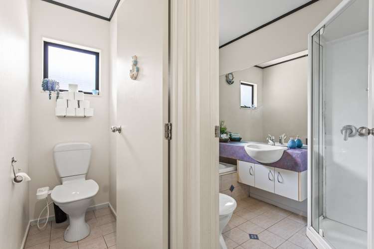 38 Ksenia Drive Flat Bush_13