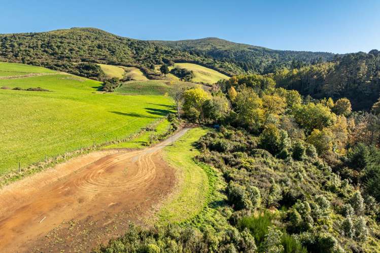 315 Leith Valley Road Leith Valley_10