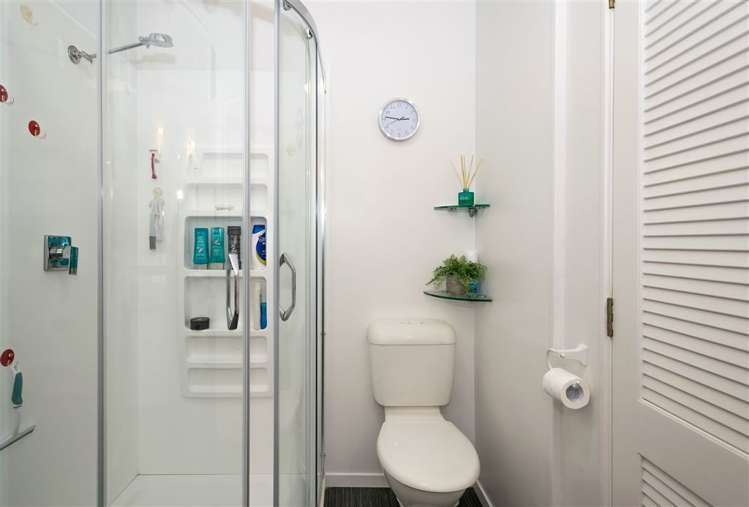 49a Colemans Road Springlands_13