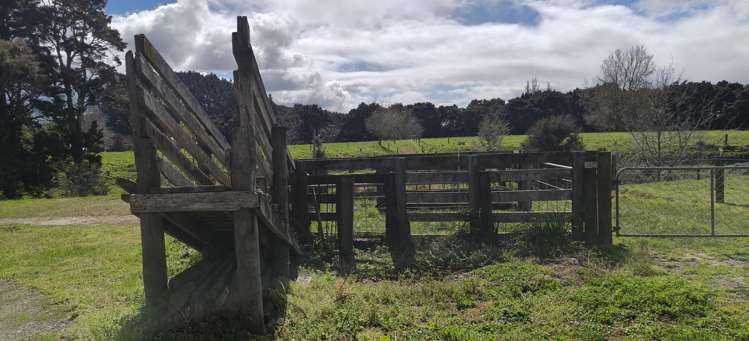 Lot 5/441 Kuranui Road_3