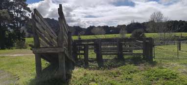 Lot 5/441 Kuranui Road_3