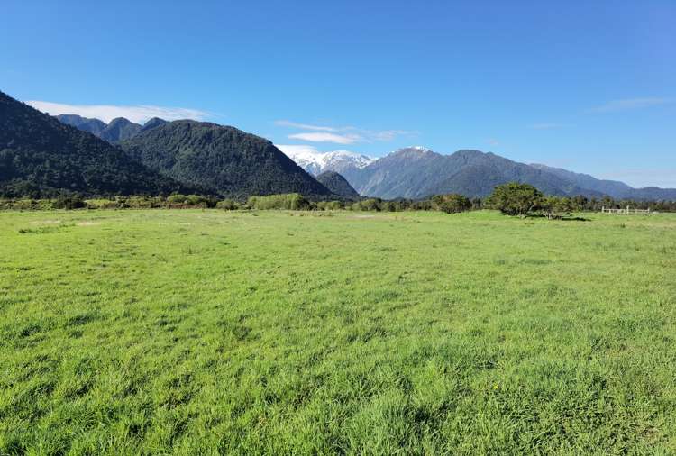 14 Ferguson Place Franz Josef Glacier_6