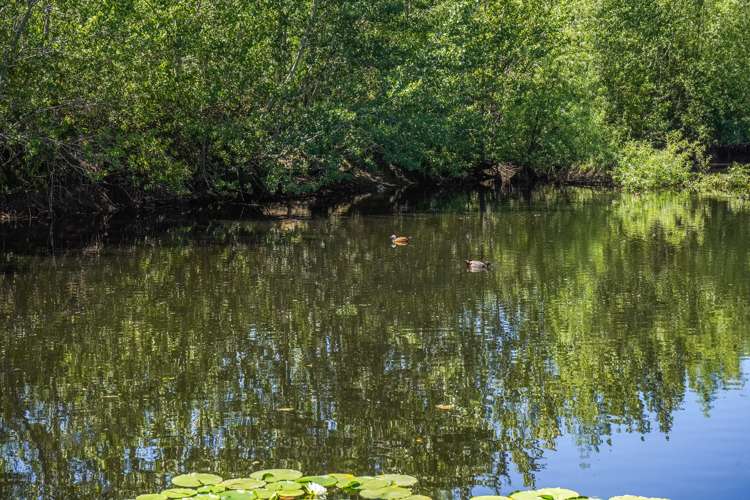 5 Lindup Road Lower Moutere_12