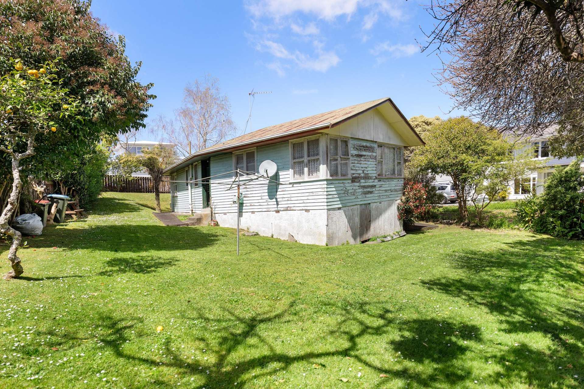 3 Horton Avenue Avondale_0