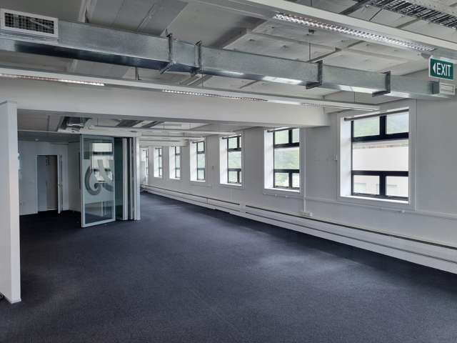 85 Molesworth Street Thorndon_2