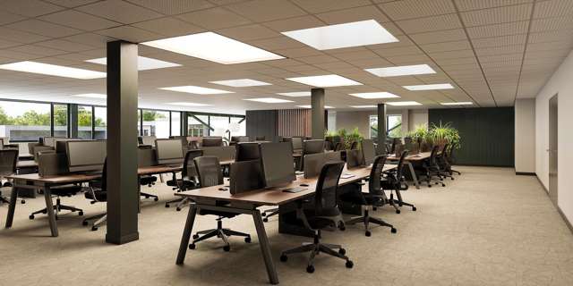 243 Hanover Street Dunedin Central_2