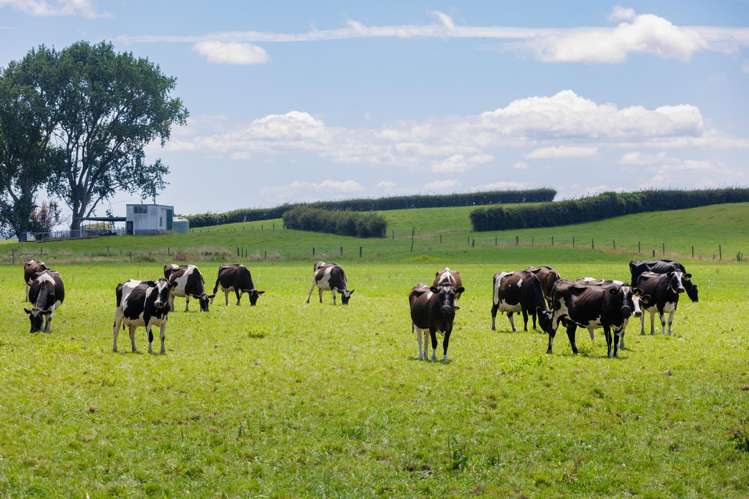 1969 State Highway 26 Morrinsville_17