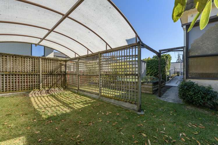 213 Fourteenth Avenue Tauranga South_13
