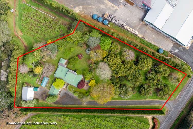 21 Rea Road Hauraki Surrounds_25