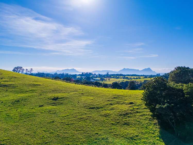 Lot 2 Doctors Hill Road_4
