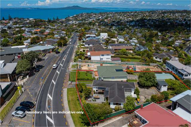 50 and 52 Sunrise Avenue Mairangi Bay_1