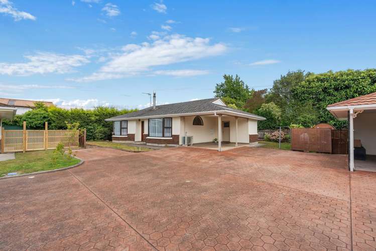50B McMaster Street Greytown_16
