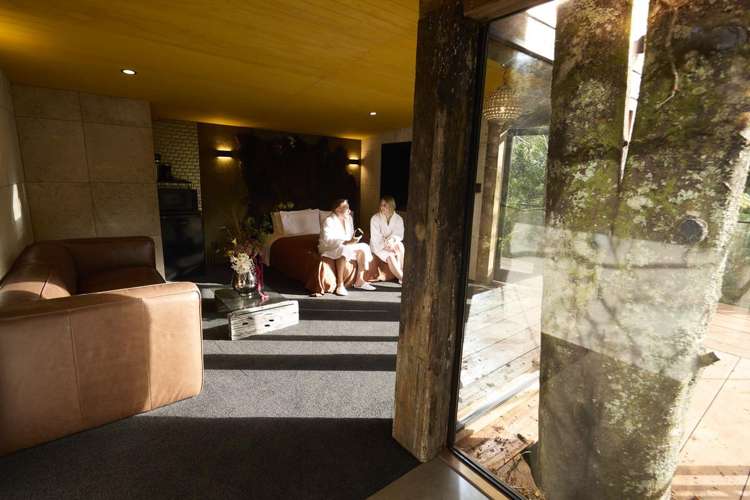 33 Kohu Road Titirangi_9