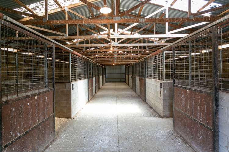 25 French Pass Road Cambridge_11