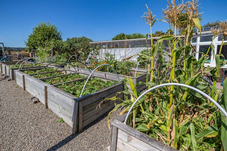 389 Kawiu Road Levin_25