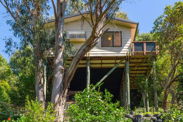 49 Thompson Terrace Toi Toi_20