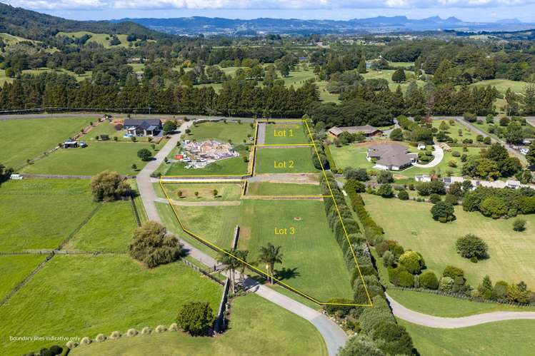 Lots 1-3/31 Millington Road Maunu_17