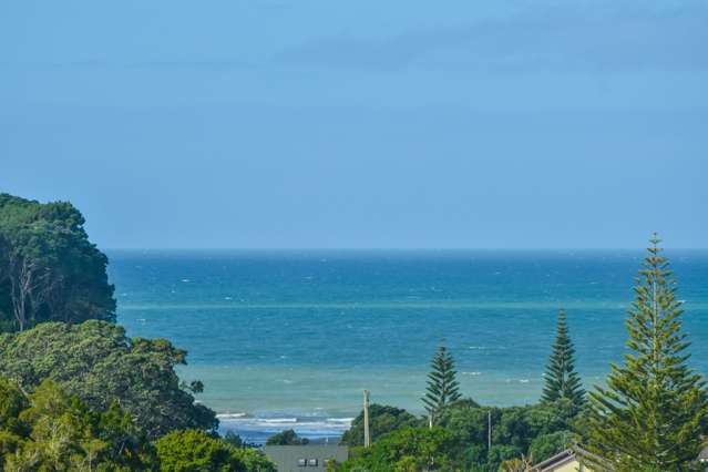 32 Ngahere Views Orewa_3