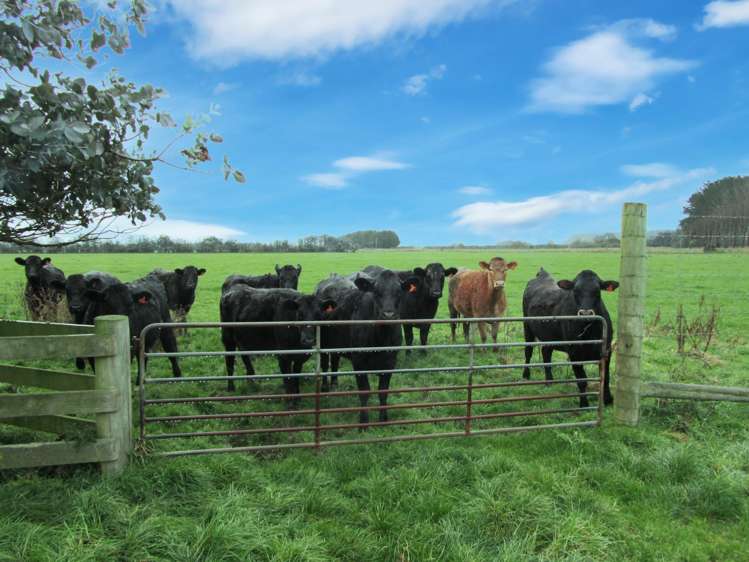 723 Papatotara Road_0