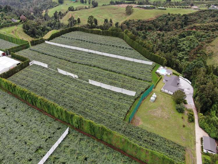 419b Joyce Road Pyes Pa_27