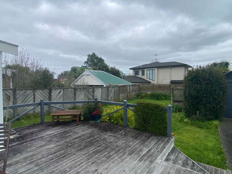 1 Pine Street Mount Eden_12