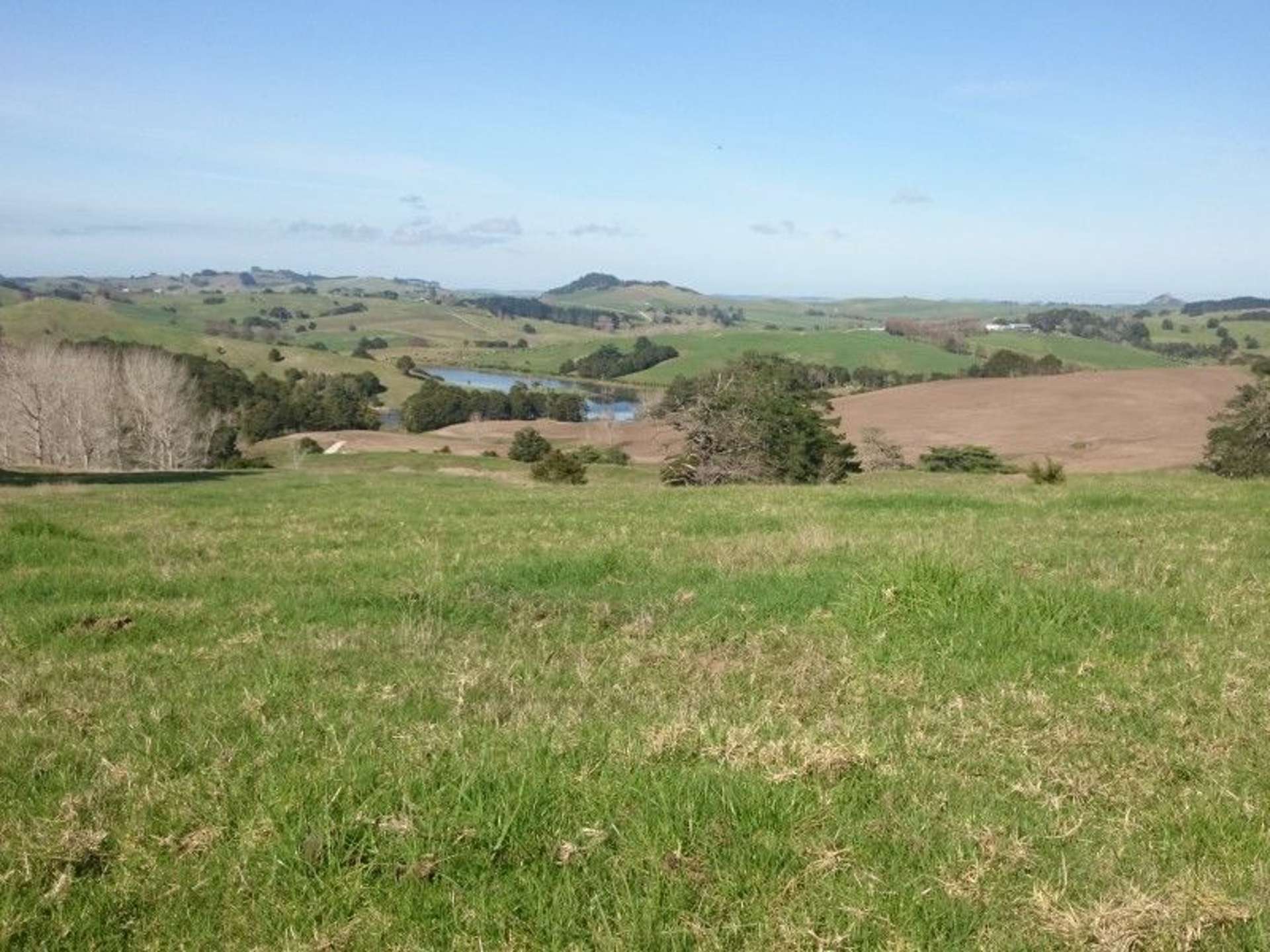 668 Hoyle Road Arapohue Kaipara Houses for Sale One Roof