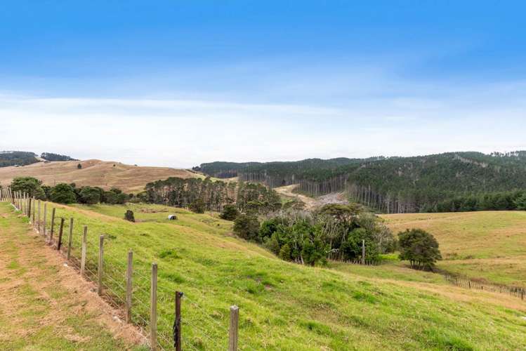 1093 Run Road Wellsford_33