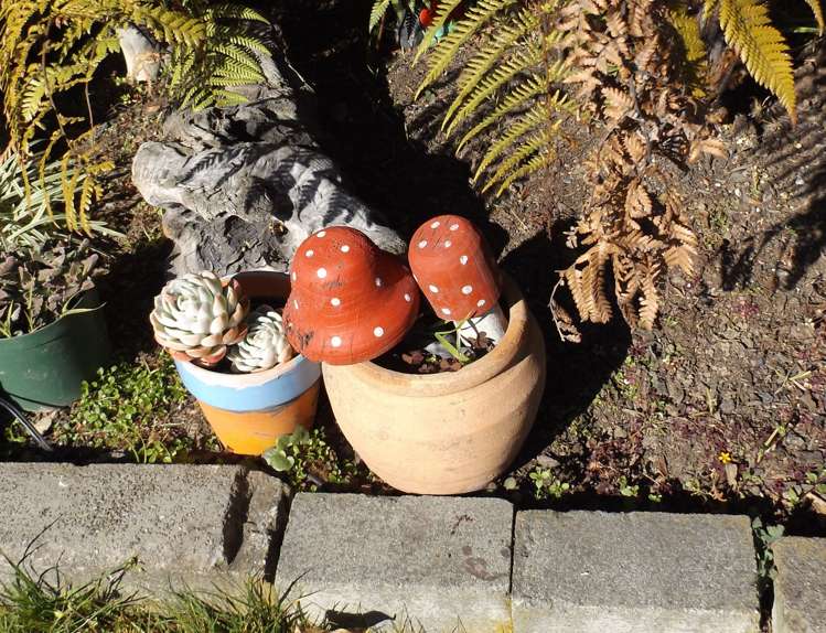 339 Port Hills Road Hillsborough_6